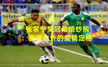 张常宁吴冠希婚纱照：赛场之外的爱情定格