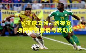 《排球之窗：透视赛场内外的激情与跃动》