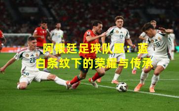 阿根廷足球队服:蓝白条纹下的荣耀与传承