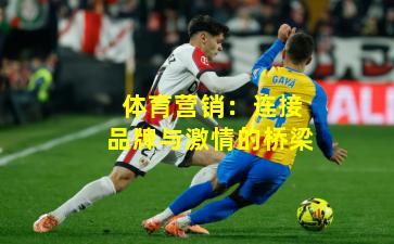 体育营销：连接品牌与激情的桥梁